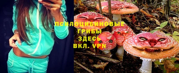 СК Богданович
