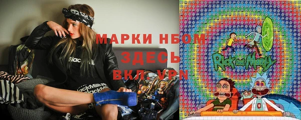 сатива Балахна